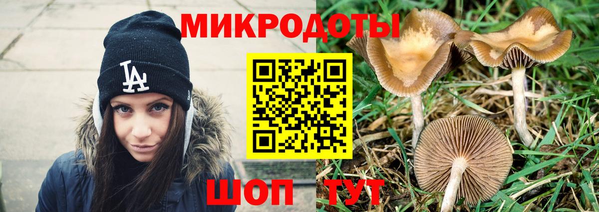 Галлюциногенные грибы Cubensis  Галлюциногенные грибы прущие грибы  Вход с VPN  Воскресенск 